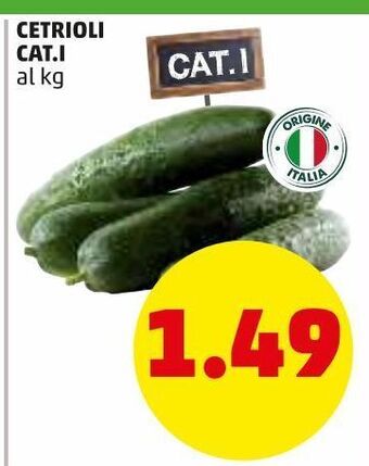 PENNY Cetrioli cat.i offerta