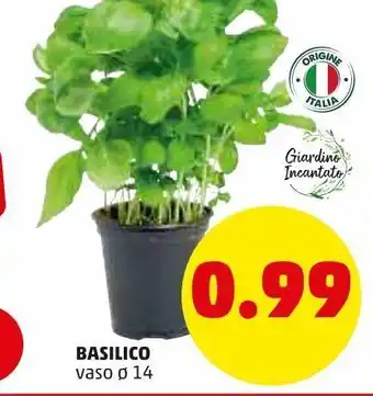 PENNY Basilico vaso 14cm offerta