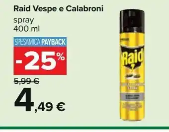 Carrefour Iper Raid vespe e calabroni spray 400ml offerta