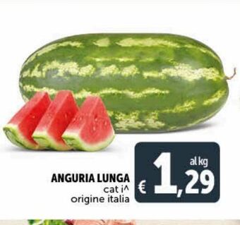 Deco Maxistore Anguria lunga offerta