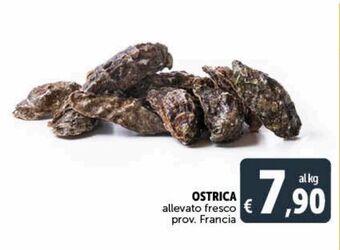 Ostrica
