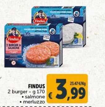 Deco Maxistore Findus offerta