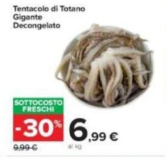 Carrefour Tentacolo di Totano Gigante Decongelato offerta