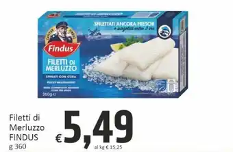 Findus Filetti di Merluzzo g 360