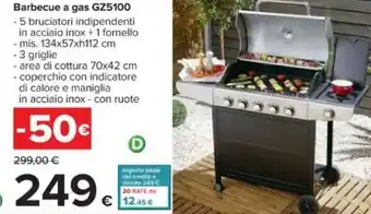 Carrefour Barbecue a gas GZ5100 offerta