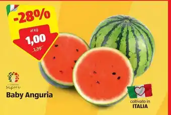 ALDI Baby anguria i colori del sapore al kg offerta