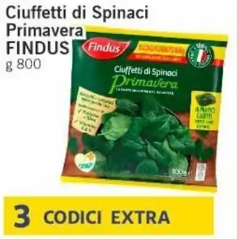 Paghi Poco Findus Ciuffetti di Spinaci Primavera g 800 offerta