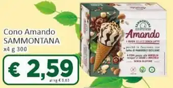 Paghi Poco Sammontana Cono Amando x4 g 300 offerta