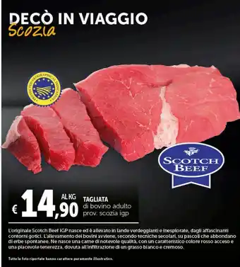 Deco Superstore Tagliata di bovino adulto prov. scozia igp offerta