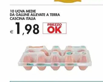10 uova media da gallina allevamente a terra casina italia