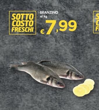 Bennet Branzino offerta