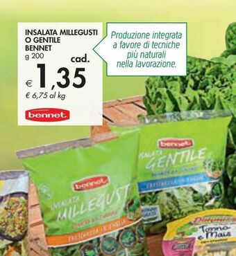 Bennet Insalata millegusti o gentile bennet offerta