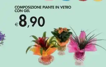Bennet Composizione piante in vetro con gel offerta