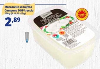 In'S Mercato Mozzarella di Bufala Campana DOP treccia 250 g offerta