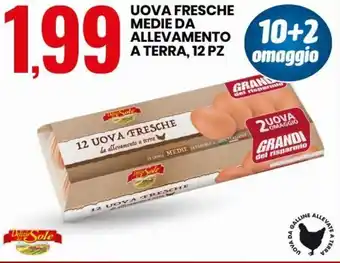 Eurospin Uova Fresche Medie da Allevamento A Terra 12 pz offerta