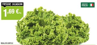 Poli Insalata Gentile offerta