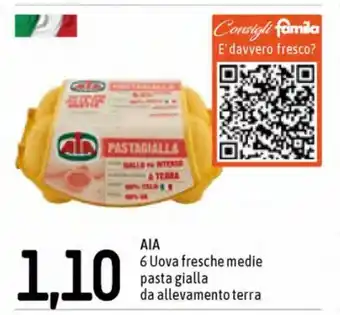 Famila AIA 6 Uova fresche medle pasta gialla da allevamento terra offerta