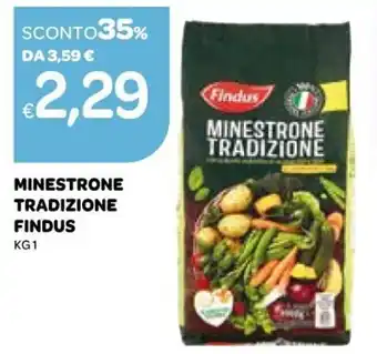 Ekom Findus Minestrone Tradizione 1 kg offerta
