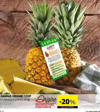 Ipercoop Ananas Origine Coop maturata in planta, al kg offerta