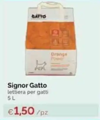 Signor Gatto 5L