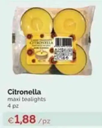 Prodet Citronella maxi tealights 4 pz offerta