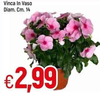 Famila Vinca In Vaso Diam. Cm. 14 offerta
