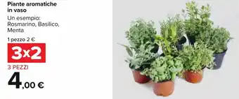 Carrefour Piante aromatiche in vaso offerta