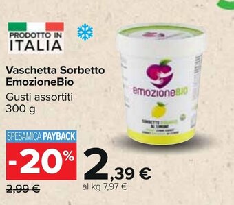 Carrefour EmozioneBio Vaschetta Sorbetto 300 g offerta
