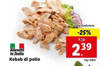 Lidl Kebab di pollo 350g offerta