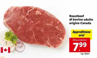 Lidl Roast beef di bovino adulto origina canada 200g offerta