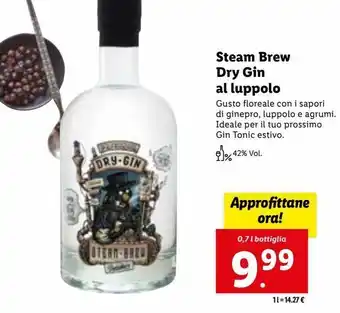 Steam brew dry gin luppolo 0.7 l