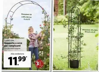 Lidl Livarno home  supporto o arco per rampicanti con picchetti integrati offerta