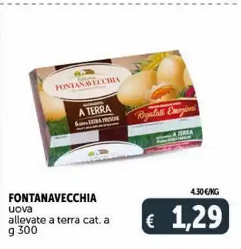 Deco Supermercati Uova da galline allevate a terra cat a fontanavecchia g 300 offerta