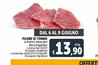 Deco Maxistore Filone di tonno offerta