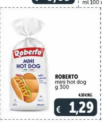 Roberto mini hot dog g 300