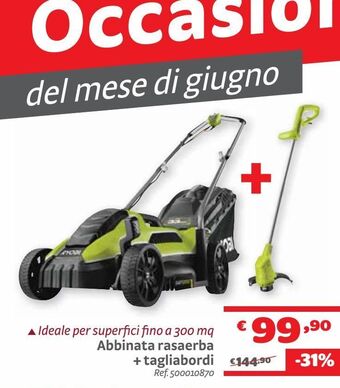 Bricocenter Abbinata rasaerba + tagliabordi offerta
