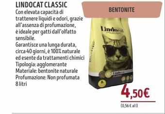 Il Gigante Lindocat classic offerta