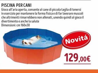 Piscina per cani