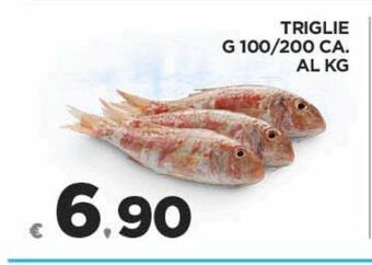 Triglie g 100/200 ca al kg