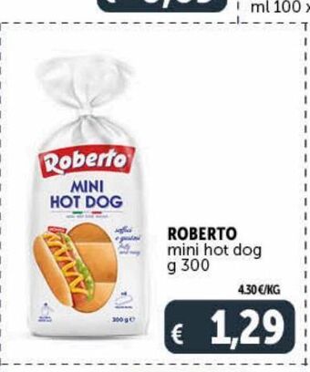 Deco Maxistore Roberto mini hot dog g 300 offerta