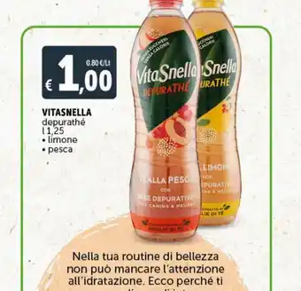 Deco Maxistore Vitasnella depurathe l 2.5 limone pesca offerta