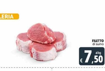 Deco Maxistore Filetto di suino offerta