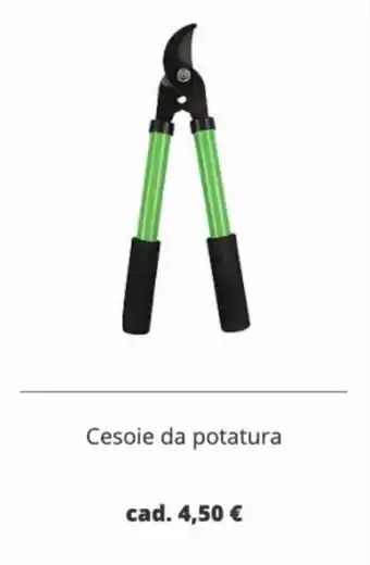 Cesoie da Potatura