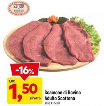 DPiù Scamone di Bovino Adulto Scottona offerta