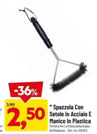 DPiù Spazzola Con Setole in Acciaio E Manico In Plastica offerta