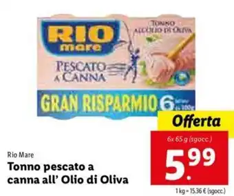 Lidl Tonno pescato a canna all' Olio di Oliva offerta