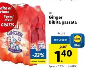 Lidl Ginger Bibita Gassata offerta