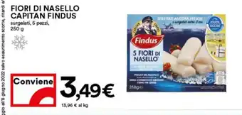 Coop Superstore Fiori Di Nasello Capitan Findus surgelati, 5 pezzi 250g offerta