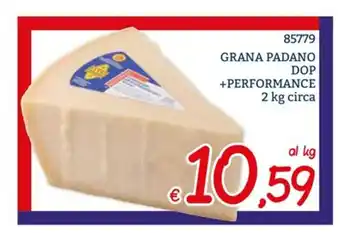 Grana Padano DOP + Performance 2 kg circa