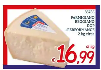 Parmigiano Reggiano DOP + Performance 2 kg circa